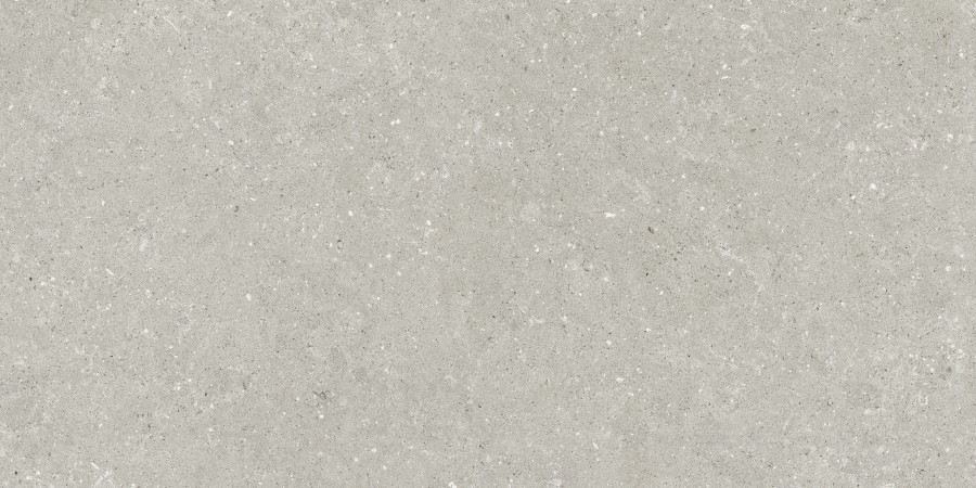 Wild HWD 05 Grey Rett. 60x120 60x120 cm