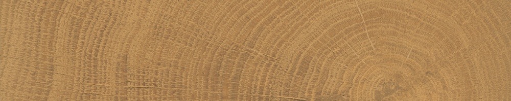 W Circles Walnut Brick Nat. 5,3x30 5,3x30 cm