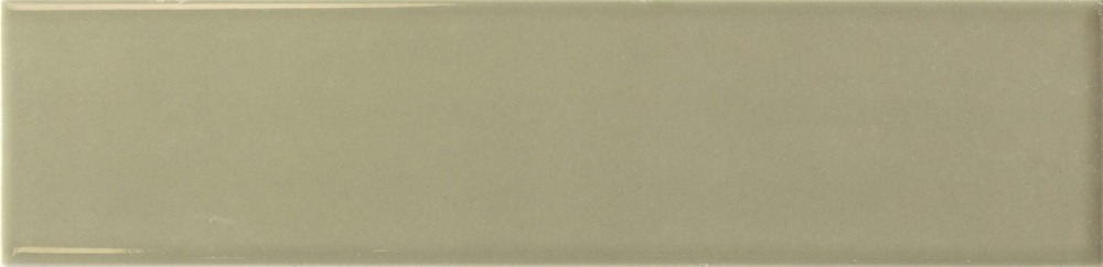 Lumina Lichen 6x24,6